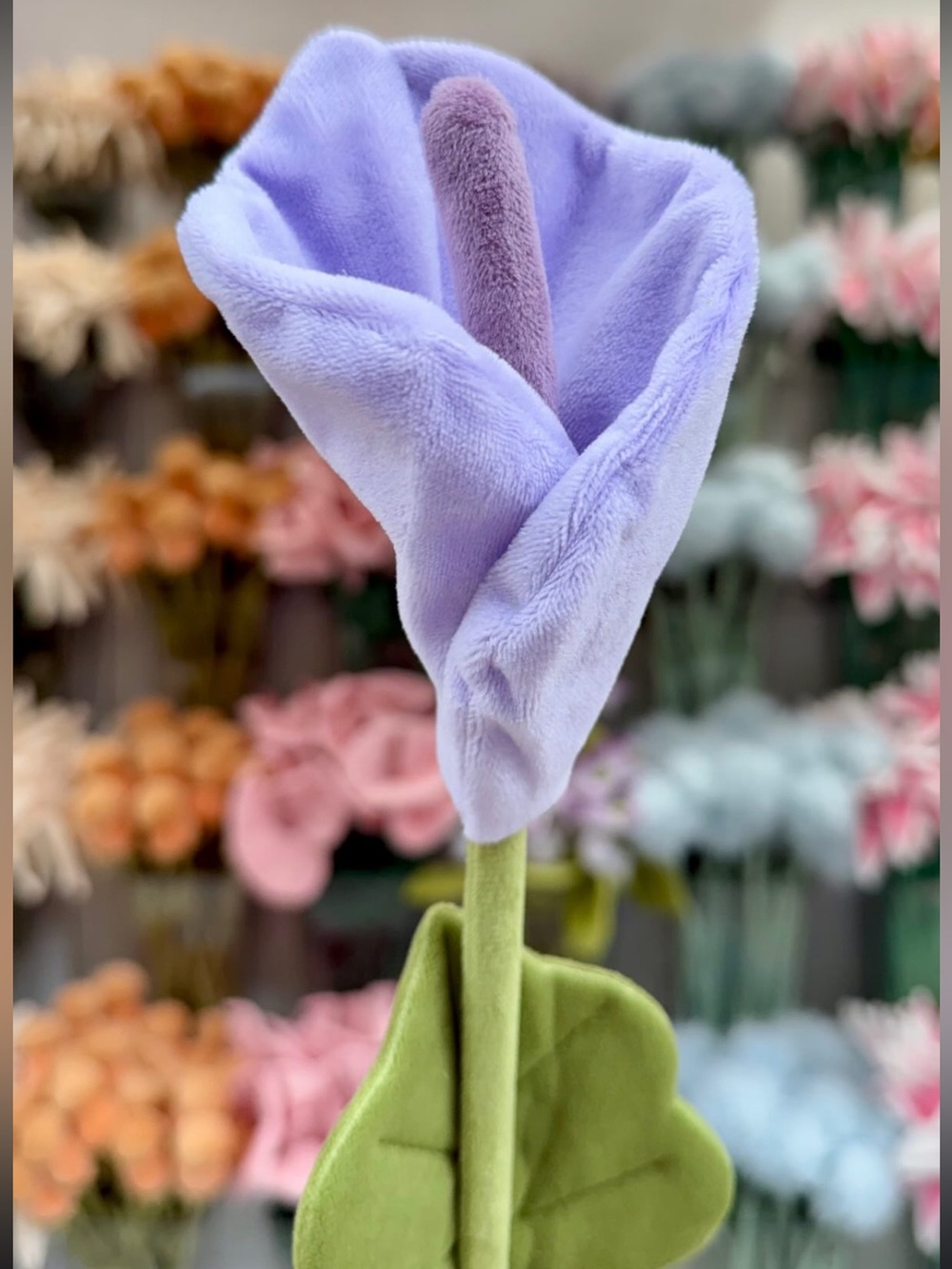 CJ Hendry Flower Shop 1 Limited Edition lilac Calla Lily stem